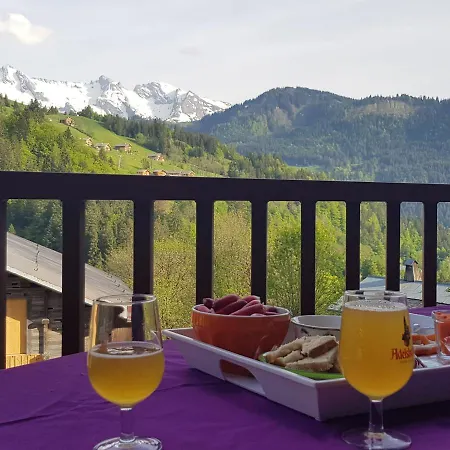 La Petite Anfiane Villa Le Grand-Bornand Exterior photo