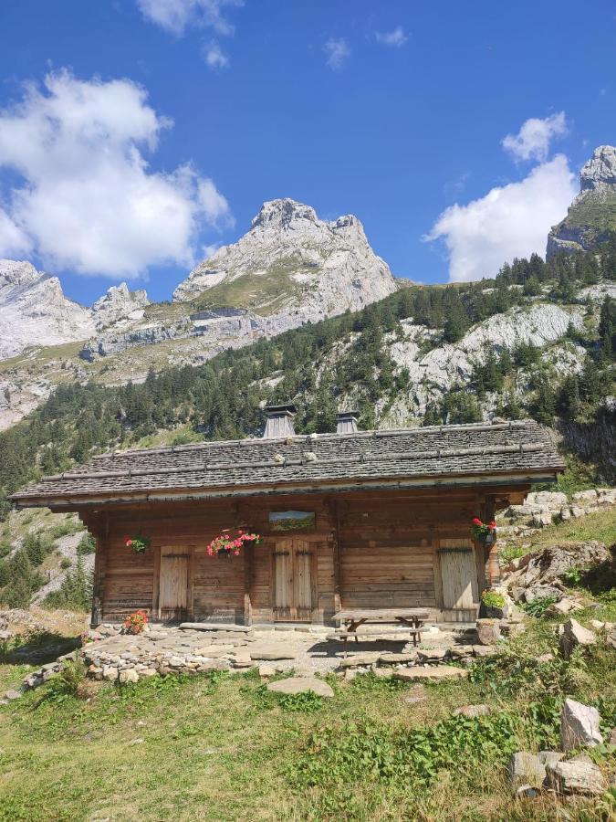 La Petite Anfiane * Le Grand-Bornand