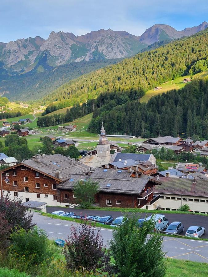 La Petite Anfiane * Le Grand-Bornand