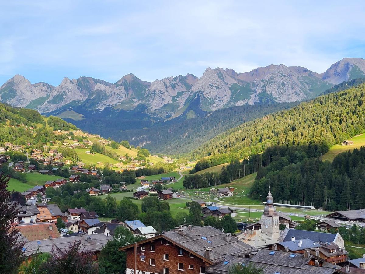 La Petite Anfiane Le Grand-Bornand
